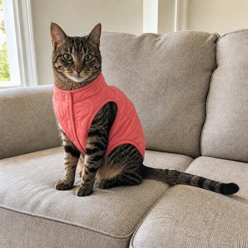 コーラルジャケットを着た茶トラの猫 — PetFitでの生成結果
