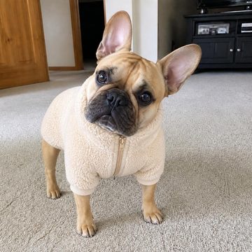 ボアブルゾンを着たフレンチブルドッグ — PetFitでの生成結果
